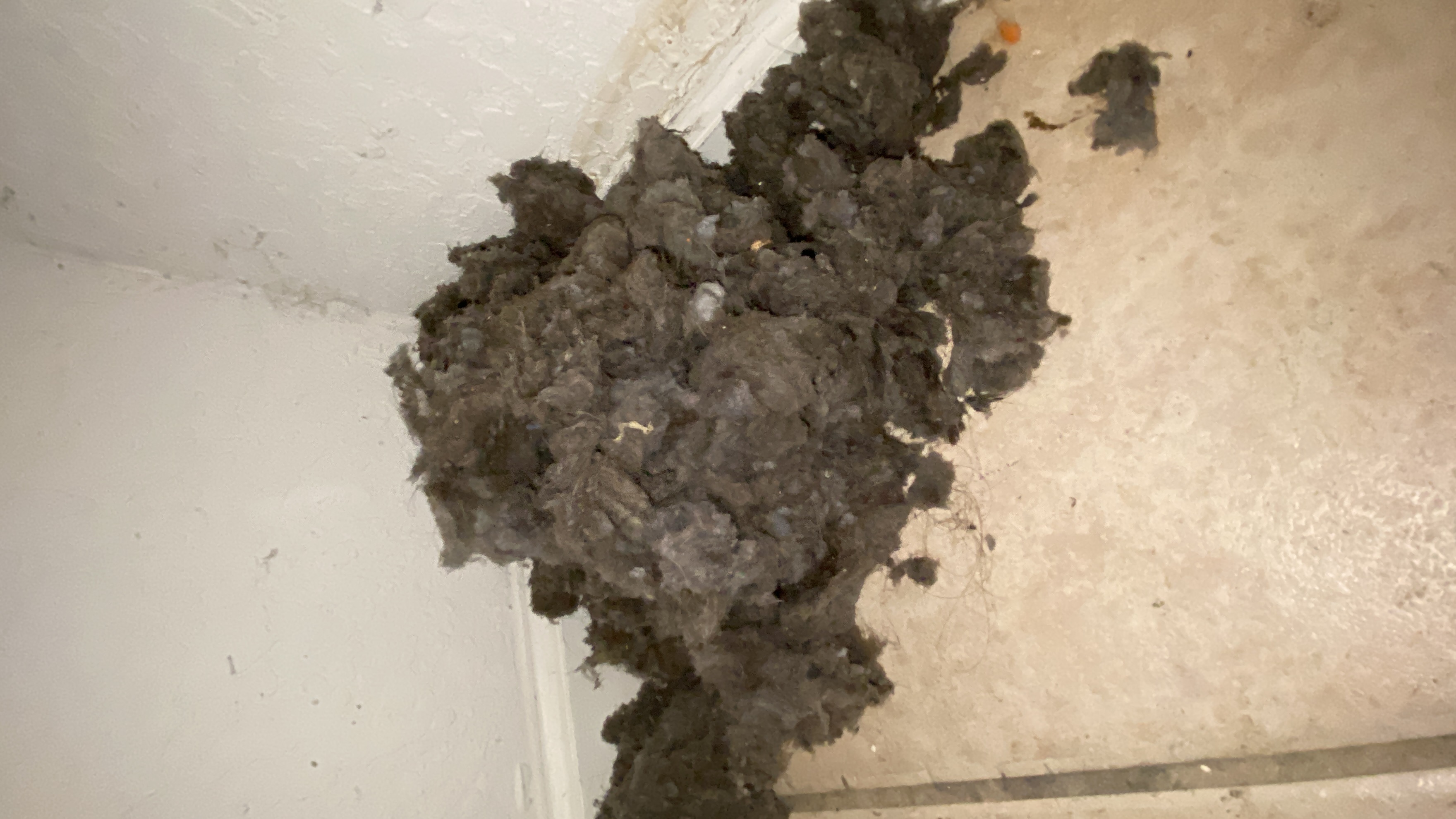 Lint Mountain after cleaning